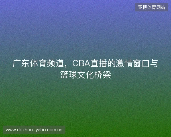 广东体育频道，CBA直播的激情窗口与篮球文化桥梁